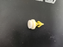 fir tree clip